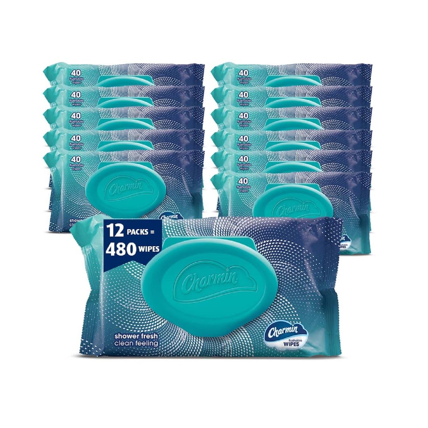 Charmin Flushable Wipes, 160 Total Wipes (4 Packs of 40)