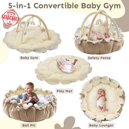 5-in-1 Thick & Plush Baby Play Gym, Baby Play Mats for Floor, Tummy Time Mat with 6 Toys, Cat Bed, Dog Bed, Convertible Stage-Based Developmental from Baby to Toddler, Ball Pit, Pet Cushion Cloudico