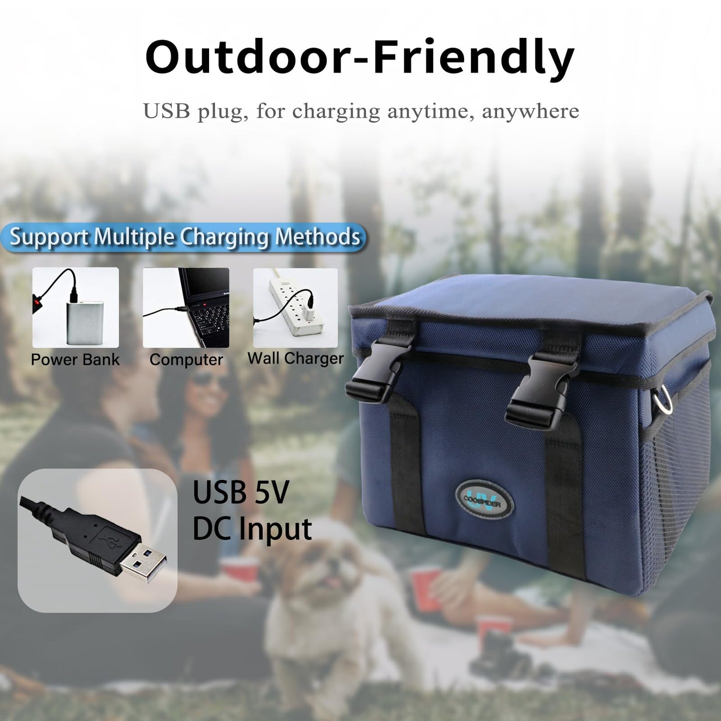 UV Light Sanitizer Box, Portable Foldable Cleaner and Sanitizing Machine with 3-level Timer, UV Cleaner Bag for Toys, Key, Towel, Mask Cleaning Machine USB & Wall Plug-in Charging Blue 12L Ozone-Free