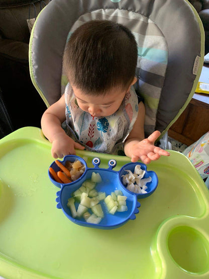 Silicone Suction Plate for Toddlers - Self Feeding Training Divided Plate Dish and Bowl for Baby and Toddler, Fits for Most Highchairs Trays, BPA Free Microwave Dishwasher Safe
