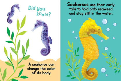 Ocean Friends - Touch and Feel Board Book - Sensory Board Book