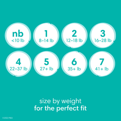 Pampers Diapers - Baby Dry - Size 1, 44 Count, Absorbent Disposable Infant Diaper (Packaging May Vary)