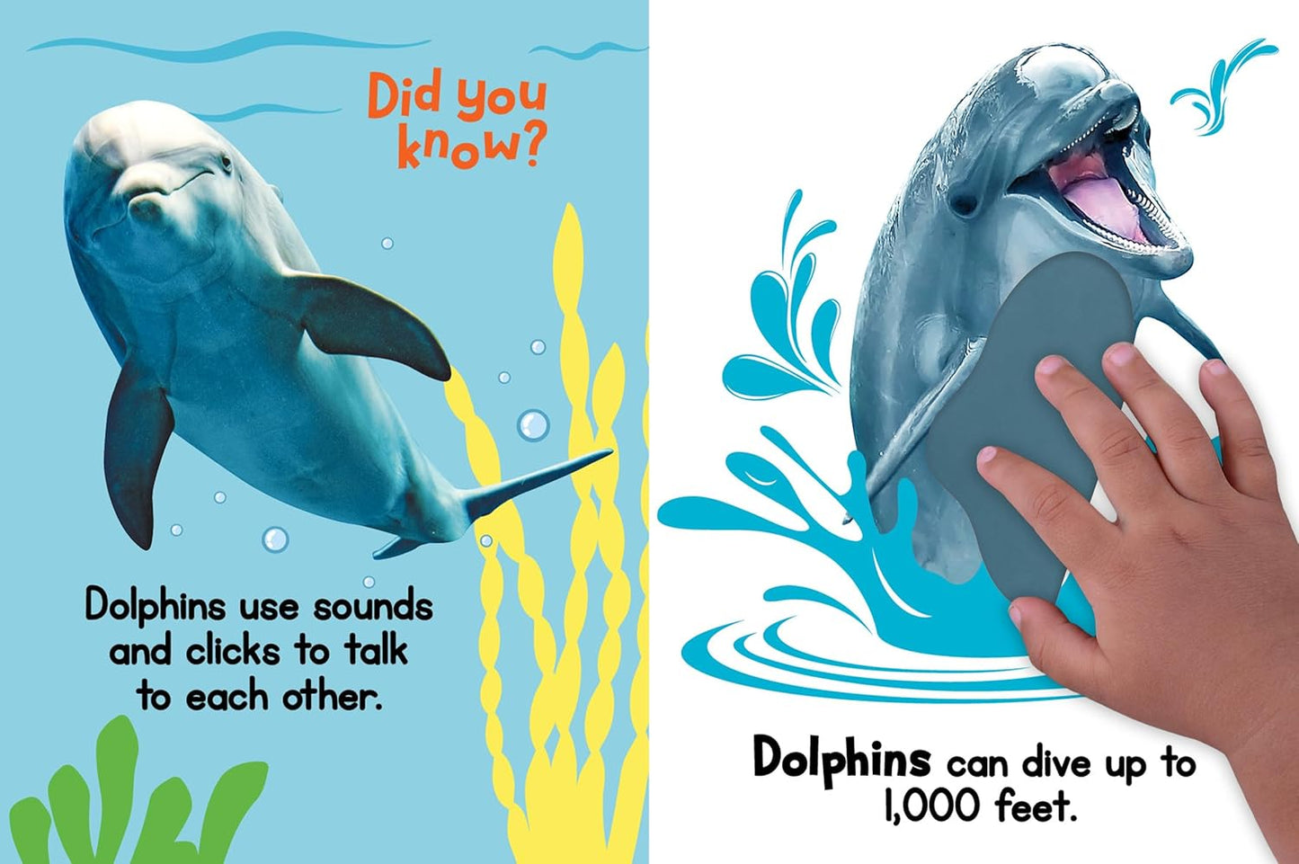 Ocean Friends - Touch and Feel Board Book - Sensory Board Book