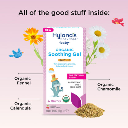 Hyland's Baby Organic Day and Night Soothing Gel Combo Pack, Cooling Gel for Oral Discomfort, Easy-to-Apply, Ages 2 Months and Up, 1.06 Ounce (2 Tubes of 0.53 oz.)