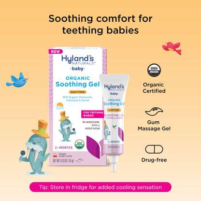 Hyland's Baby Organic Day and Night Soothing Gel Combo Pack, Cooling Gel for Oral Discomfort, Easy-to-Apply, Ages 2 Months and Up, 1.06 Ounce (2 Tubes of 0.53 oz.)