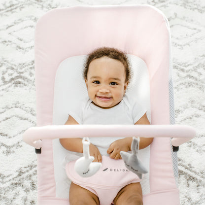 Baby Delight Alpine Deluxe Portable Bouncer, Infant, 0-6 Months, 100% GOTS Certified Cotton Fabrics, Organic Oat
