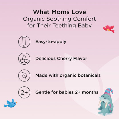 Hyland's Baby Organic Day and Night Soothing Gel Combo Pack, Cooling Gel for Oral Discomfort, Easy-to-Apply, Ages 2 Months and Up, 1.06 Ounce (2 Tubes of 0.53 oz.)