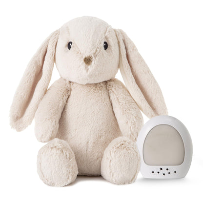 Cloud b Sound Machine with White Noise Soothing Sounds | Cuddly Stuffed Animal & Nomadic Nightlight | Record Parent Voice | Adjustable Settings & Auto-Shutoff | LoveLight™ Buddies - Drake The Dragon™