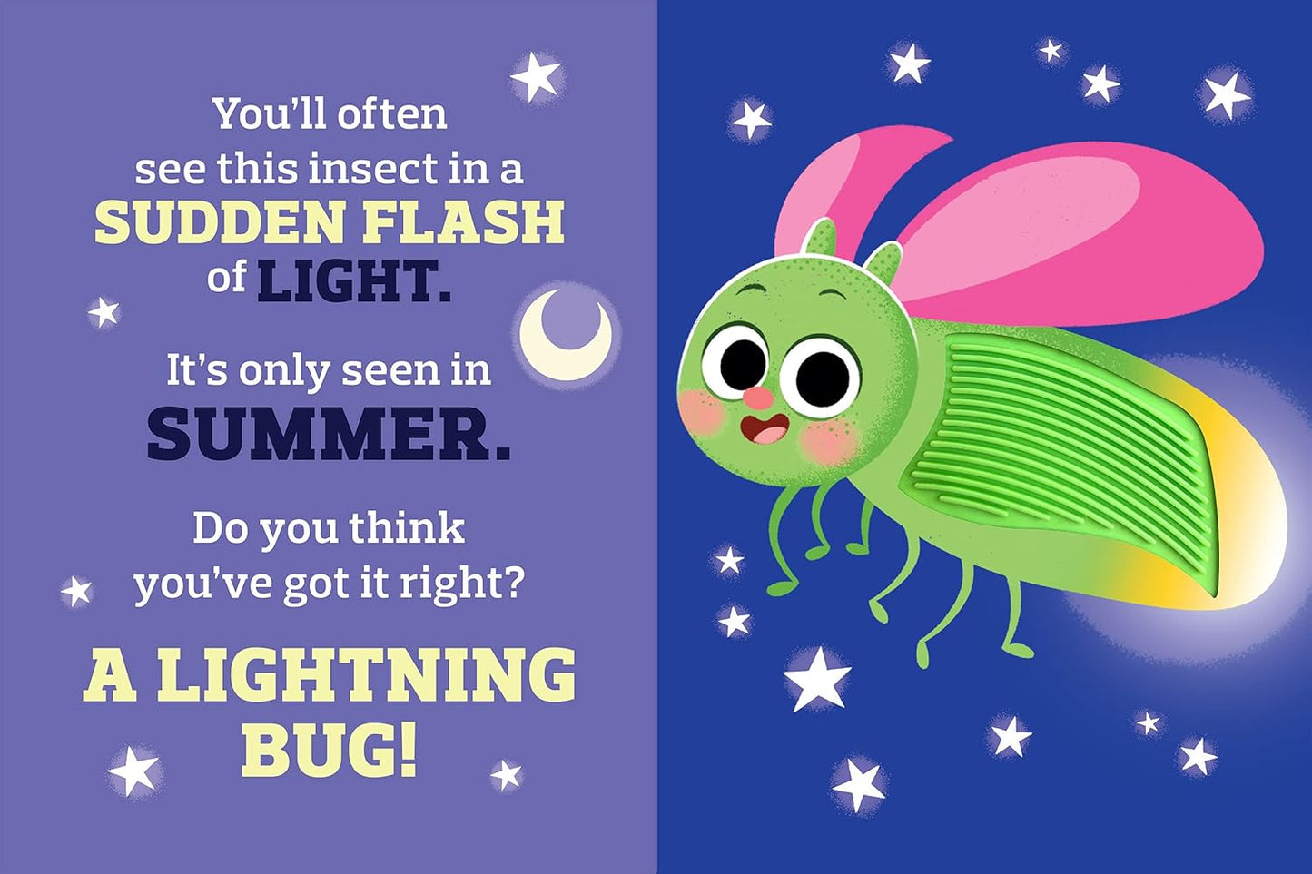 Backyard Bugs - Touch and Feel Board Book - Sensory Board Book