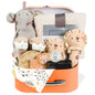 11 Pcs Baby Shower Gifts Basket for Newborns Baby Boy Gender Neutral Baby Gift Set with Baby Blanket Rattle, Milestone Security Blanket Decision Coin & Towels Socks Essentials for Baby Boys Girls