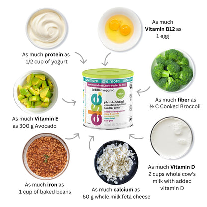 Else Nutrition Toddler Formula 12-36 mo., Plant Based Toddler Nutritional Drink - Soy & Dairy Free, Lactose Free - Complete Baby Formula (12-36 mo.), Protein Powder w/ 20+ Vitamins (22oz, 6-Pack)