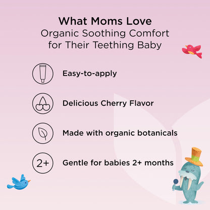 Hyland's Baby Organic Day and Night Soothing Gel Combo Pack, Cooling Gel for Oral Discomfort, Easy-to-Apply, Ages 2 Months and Up, 1.06 Ounce (2 Tubes of 0.53 oz.)