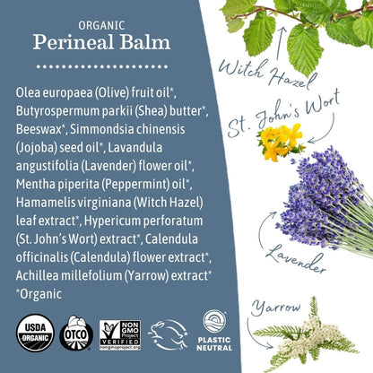 Earth Mama Herbal Perineal Spray | Safe for Pregnancy and Postpartum Recovery, Witch Hazel Natural Cooling Spray For After Birth Feminine Care Essentials, No Benzocaine or Butane, 4-Fluid Ounce