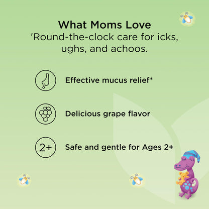 Hyland's Kids Nighttime Organic Cough Syrup and Immune Support with Agave, Elderberry and Pomegranate, Soothes Cough, and Supports Immunity, 4 Fl. Oz.