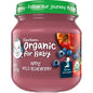 Gerber Stage 2 Baby Food, Organic Apple Spinach with Kale Jar, Fruit & Veggie Puree, Vitamin C, Non-GMO, Baby Food Puree Jars Glass
