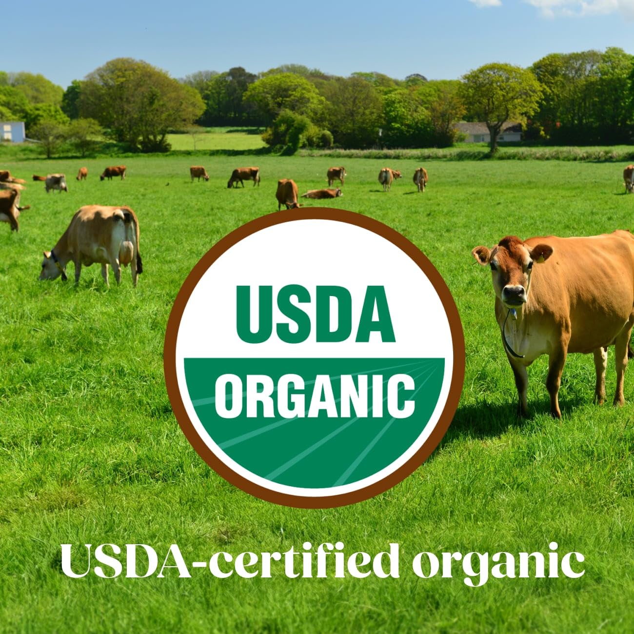 Pure Bliss by Similac Organic with A2 Milk Infant Formula, Easy to Digest, USDA-Certified Organic, Powder, 20.6-oz Tub