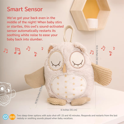 Cloud b Sound Machine with White Noise Soothing Sounds | Cuddly Stuffed Animal & Nomadic Nightlight | Record Parent Voice | Adjustable Settings & Auto-Shutoff | LoveLight™ Buddies - Drake The Dragon™