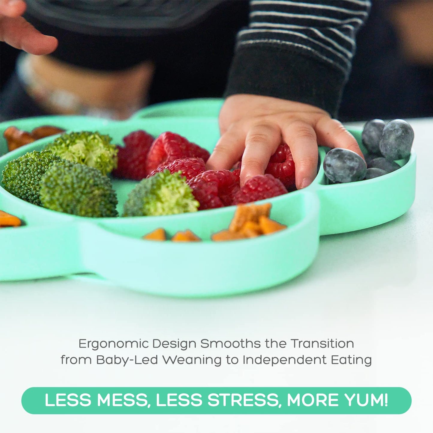 grabease Baby Essentials Must-Haves - Complete Feeding Set for Baby-Led Weaning and Portion Control - Suction Bottoms 4 Piece Set, BPA and Phthalates-Free, Blush