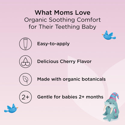 Hyland's Baby Organic Day and Night Soothing Gel Combo Pack, Cooling Gel for Oral Discomfort, Easy-to-Apply, Ages 2 Months and Up, 1.06 Ounce (2 Tubes of 0.53 oz.)