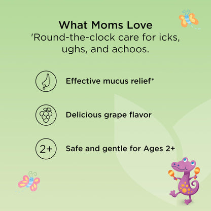 Hyland's Kids Nighttime Organic Cough Syrup and Immune Support with Agave, Elderberry and Pomegranate, Soothes Cough, and Supports Immunity, 4 Fl. Oz.