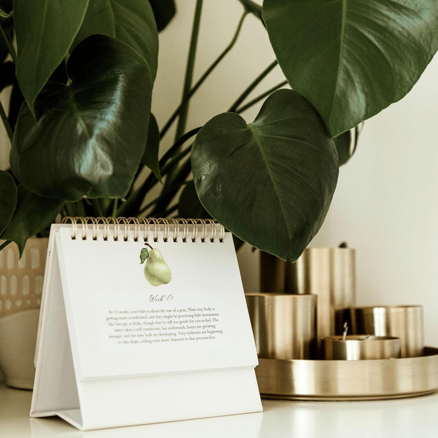 Mulberry Lane Co. Faith-Filled Weekly Pregnancy Milestone Calendar – Pregnancy Must Haves, First-Time Mom Essentials, Monthly Baby Tracker with Scripture, Pregnancy Gifts for Expecting Moms