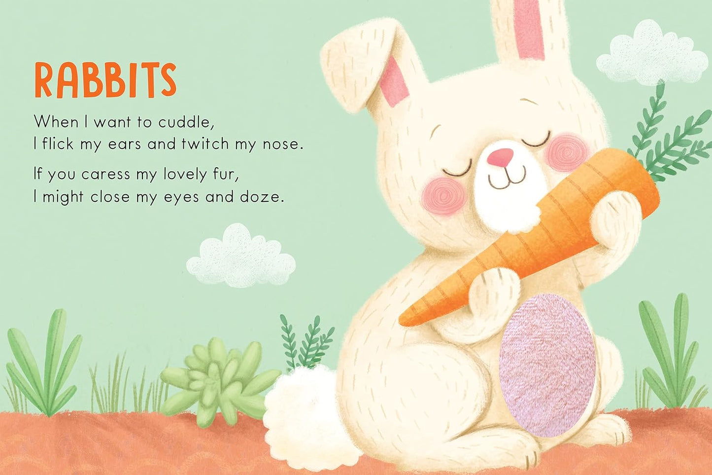 Adorable Pets: A Touch and Feel Book - Children's Board Book - Educational