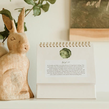 Mulberry Lane Co. Faith-Filled Weekly Pregnancy Milestone Calendar – Pregnancy Must Haves, First-Time Mom Essentials, Monthly Baby Tracker with Scripture, Pregnancy Gifts for Expecting Moms