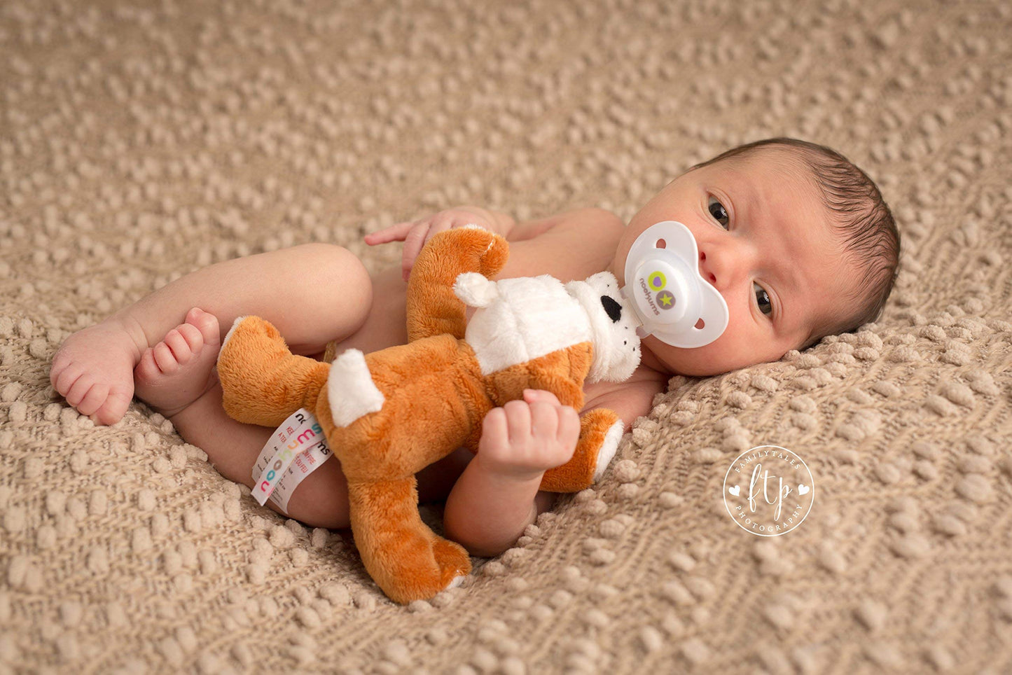Nookums Paci-Plushies Buddies - Alligator Pacifier Holder - Adapts to Name Brand Pacifiers, Suitable for All Ages, Plush Toy Includes Detachable Pacifier