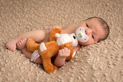 Nookums Paci-Plushies Buddies - Alligator Pacifier Holder - Adapts to Name Brand Pacifiers, Suitable for All Ages, Plush Toy Includes Detachable Pacifier