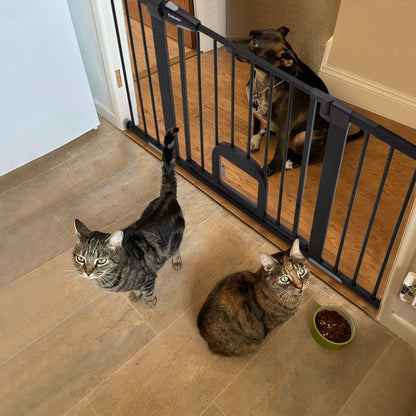 Babelio Upgraded Baby Gate with Cat Door, 29-43" Auto Close Durable Dog Gate for Stairs, Doorways and House, Easy Walk Thru Safety Gate with Pet Door Includes 4 Wall Cups, Black