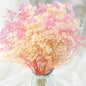 3500+ Dried Babys Breath Flowers Pink & White-17'' Baby's Breath Bulk Bouquet, Real Natural Dried Gypsophila Flowers for Resin, Home Vase Decor, Card DIY, Party, Wedding Flower Wreaths