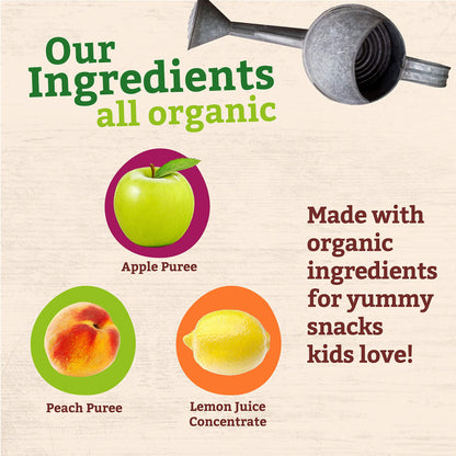 Peter Rabbit Organics Fruit Vegetable, Squeezable Pouches, 4 Ounce (Pack of 18)