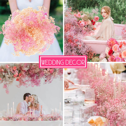 3500+ Dried Babys Breath Flowers Pink & White-17'' Baby's Breath Bulk Bouquet, Real Natural Dried Gypsophila Flowers for Resin, Home Vase Decor, Card DIY, Party, Wedding Flower Wreaths