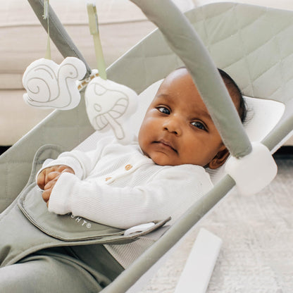 Baby Delight Alpine Deluxe Portable Bouncer, Infant, 0-6 Months, 100% GOTS Certified Cotton Fabrics, Organic Oat