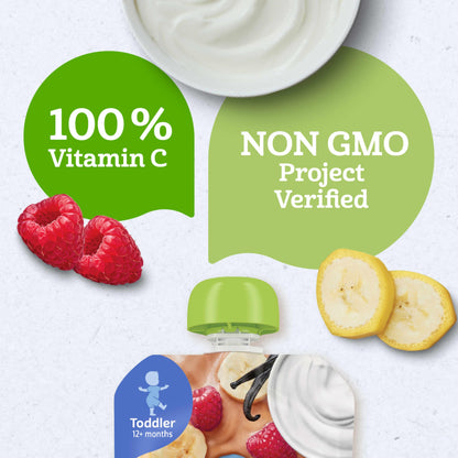 Gerber Baby Food Toddler Apple Pear Peach, 3.5 Oz Pouch