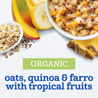 Gerber Organic Grain & Grow Morning Bowl, Oats, Red Quinoa & Farro with Tropical Fruits, 4.5 Ounce (Pack of 8)