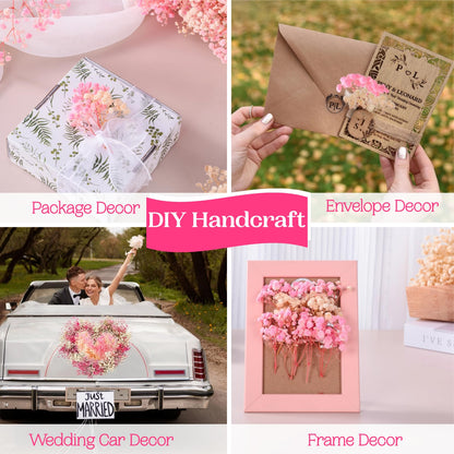 3500+ Dried Babys Breath Flowers Pink & White-17'' Baby's Breath Bulk Bouquet, Real Natural Dried Gypsophila Flowers for Resin, Home Vase Decor, Card DIY, Party, Wedding Flower Wreaths