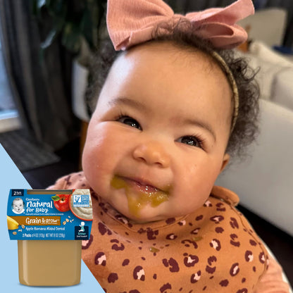 Gerber Baby Food 2nd Foods, Mixed Cereal, Pears & Cinnamon with Oatmeal Puree, 4 Ounce Tubs, 2-Pack (Pack of 8)