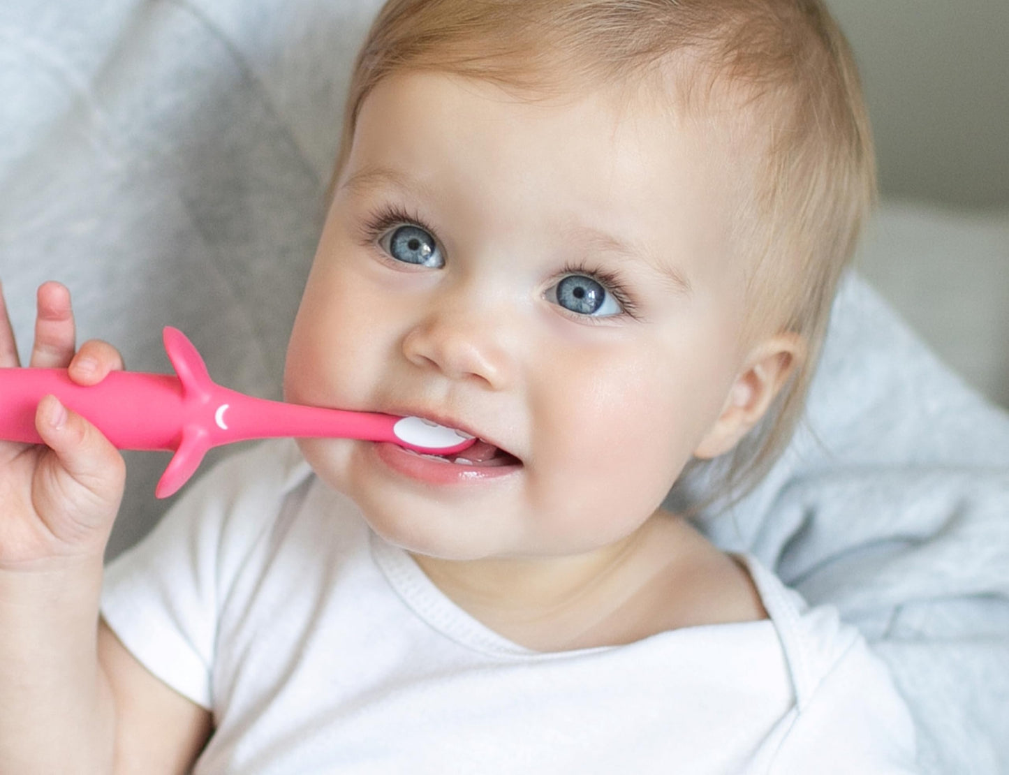 Dr. Brown's Infant-to-Toddler Training Toothbrush, Soft for Baby's First Teeth, Pink Elephant, 0-3 Years (Colors/Styles May Vary)