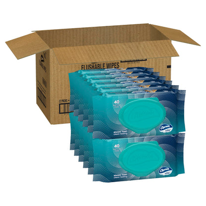 Charmin Flushable Wipes, 160 Total Wipes (4 Packs of 40)