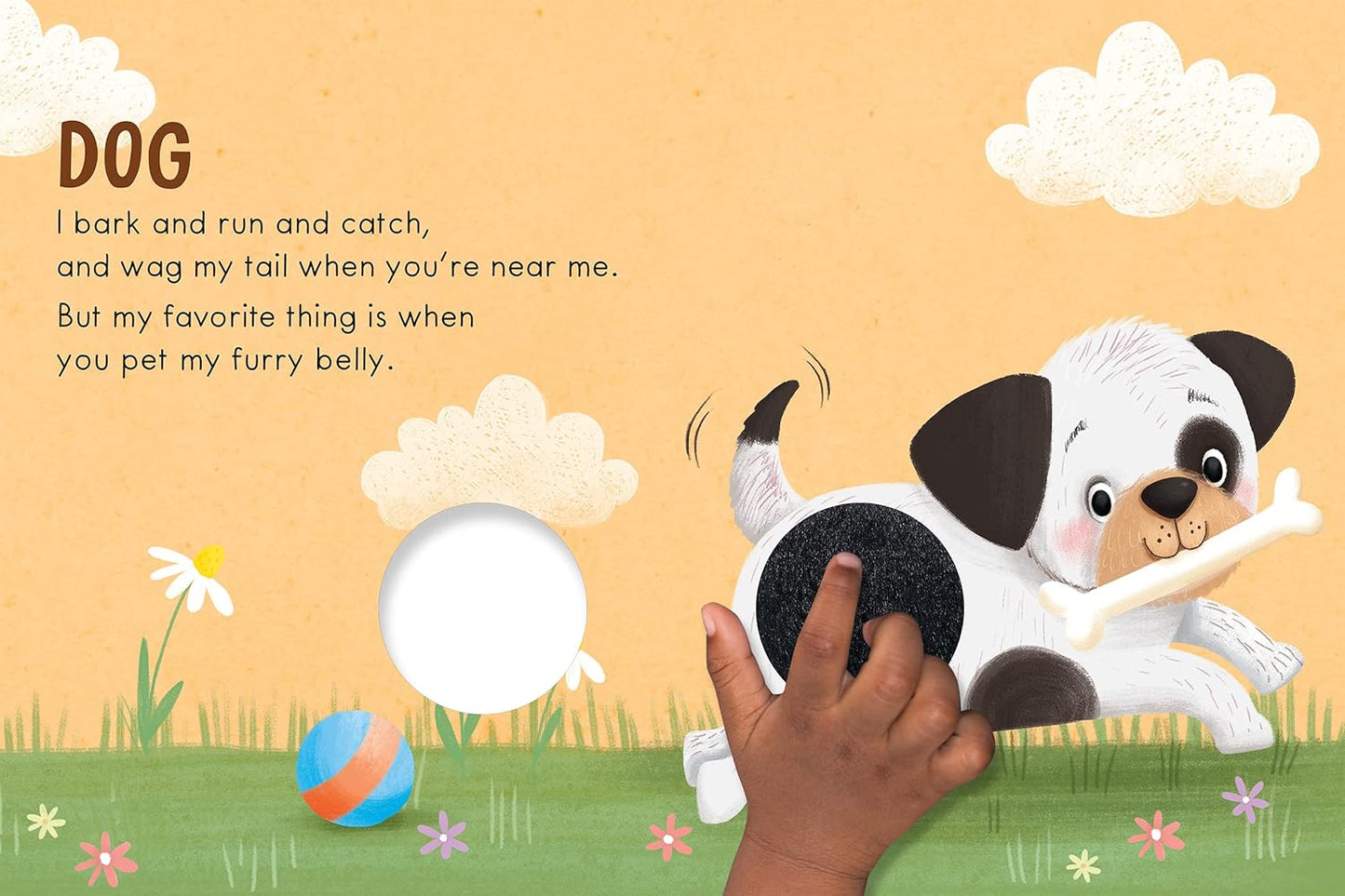 Adorable Pets: A Touch and Feel Book - Children's Board Book - Educational