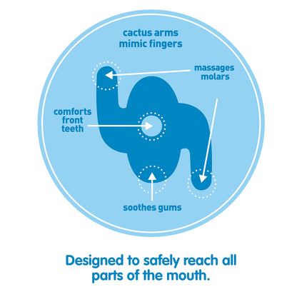Dr. Brown's AquaCool Water-Filled Baby Teether, Cools & Massages Sore Gums, BPA Free, Pineapple and Apple, 2 Pack, 3m+