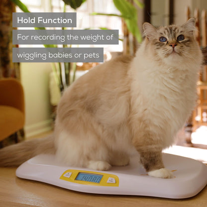 Beurer BY82 Multifunctional Baby Scale for Infants, Pets, Kids, & Adults up to 396lbs, Measures in 4 Units with Backlit Digital Display & Hold Function for Accuracy, Animal Scale for Cats and Dogs
