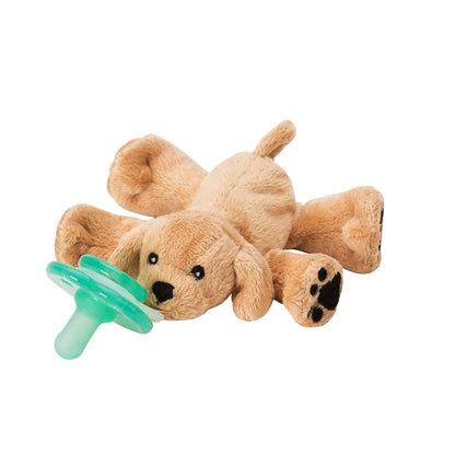 Nookums Paci-Plushies Buddies - Alligator Pacifier Holder - Adapts to Name Brand Pacifiers, Suitable for All Ages, Plush Toy Includes Detachable Pacifier