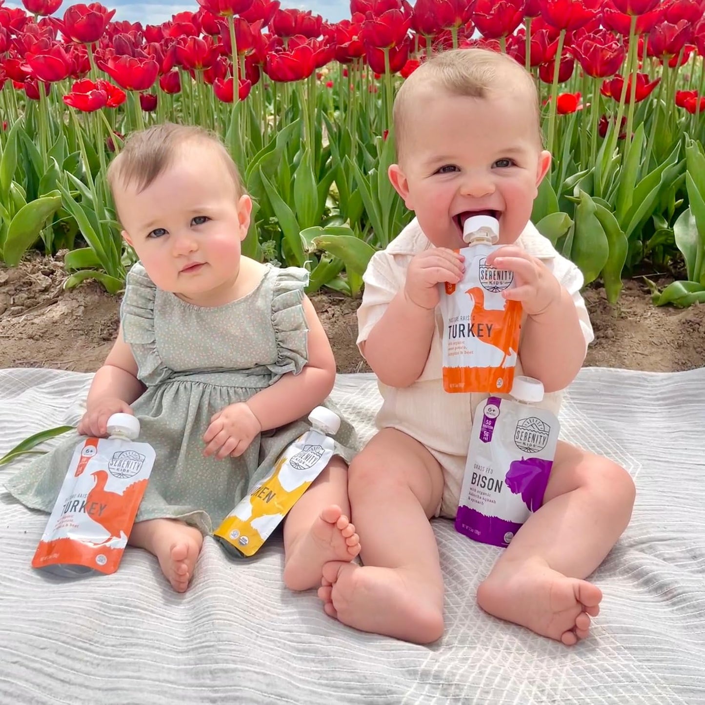 Serenity Kids 7+ Months World Explorers Baby Food Pouches Puree Made With Ethically Sourced Meats & Organic Veggies | 3.5 Ounce BPA-Free Pouch | Beef Chimichurri | 6 Count
