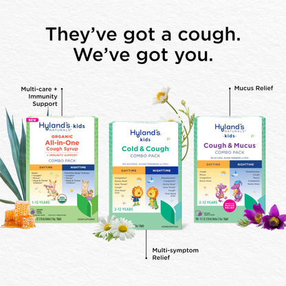 Hyland's Kids Cold and Cough, Day and Night Combo Pack, Cold Medicine for Ages 2 and up, Syrup Cough Medicine for Kids, Nasal Decongestant, 4 Fl Oz (Pack of 2)
