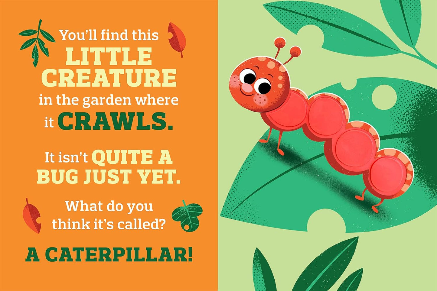 Backyard Bugs - Touch and Feel Board Book - Sensory Board Book