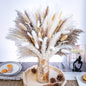 95 PCS Natural Pampas Grass Decor Bouquet | Boho Dried Floral Arrangement Centerpiece Table Decor Wedding Decor Rustic Decor, Natural, white, beige (Fdm-b-01)