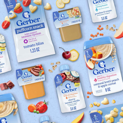 Gerber Baby Food 2nd Foods, Dinner, Chicken Noodle Puree, 4 Ounce Tubs, 2-Pack