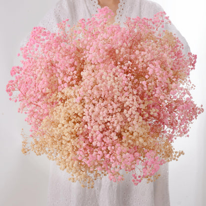 3500+ Dried Babys Breath Flowers Pink & White-17'' Baby's Breath Bulk Bouquet, Real Natural Dried Gypsophila Flowers for Resin, Home Vase Decor, Card DIY, Party, Wedding Flower Wreaths